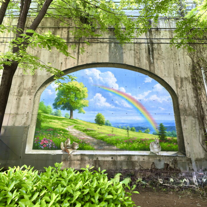 담장 트릭아트 포토존5