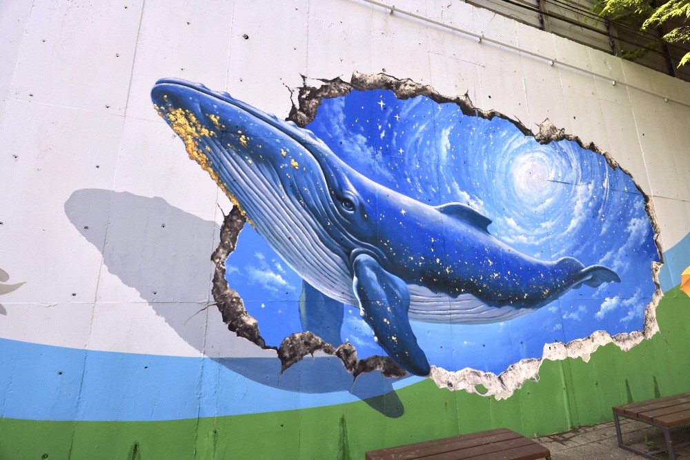 담장 트릭아트 포토존19