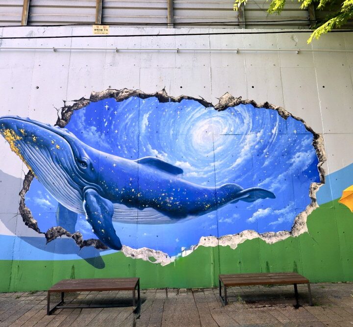 담장 트릭아트 포토존3