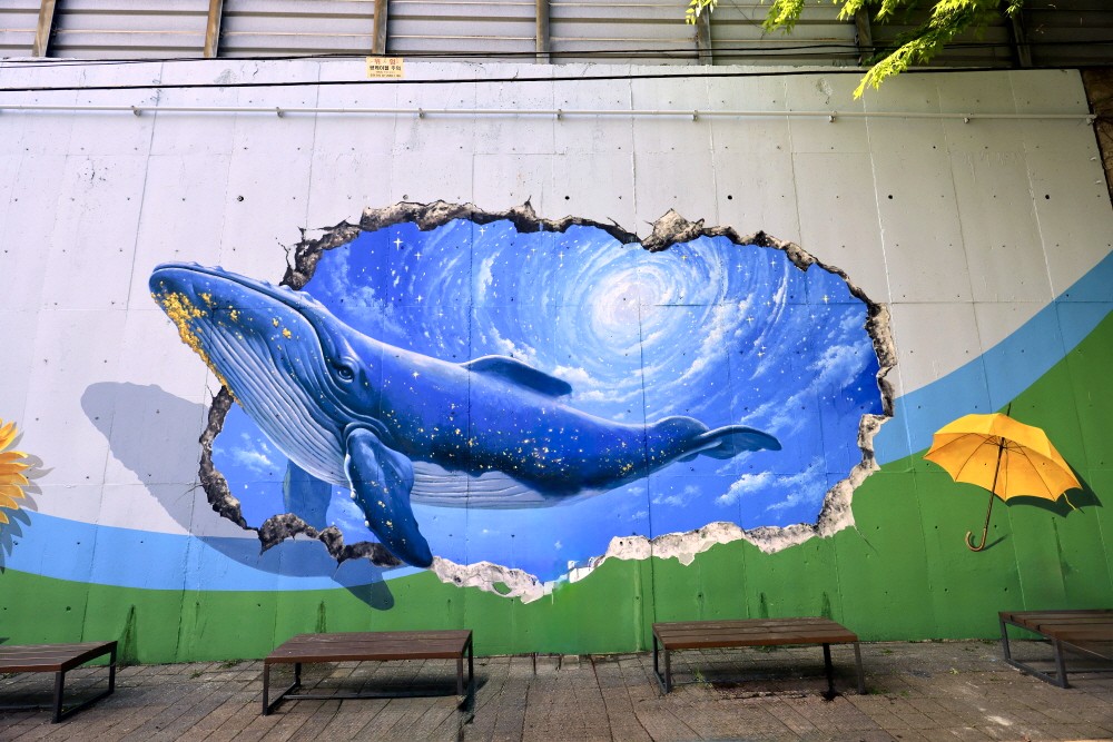 담장 트릭아트 포토존3